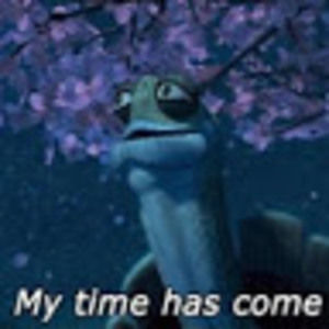 Meet your Posher, Julian